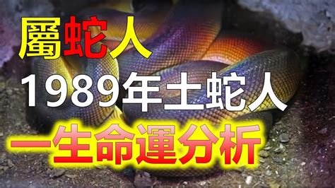 78年屬蛇|生肖蛇: 性格，愛情，2024運勢，生肖1989，2001，2013